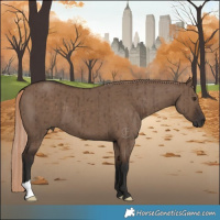 Horse Color:Liver Red Dun Brindle 