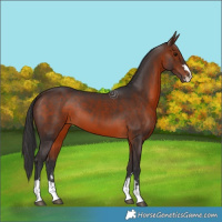 Horse Color:Brown 