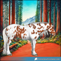 Horse Color:White Spotted Silver Bay Tobiano Appaloosa 