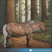 Horse Color:White Spotted Silver Brown Dun Sabino 