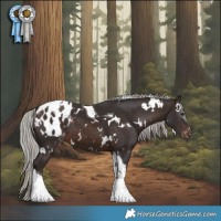 Horse Color:White Spotted Silver Brown Tobiano Appaloosa 