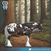 Horse Color:White Spotted Silver Brown Tobiano Appaloosa 