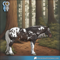 Horse Color:White Spotted Silver Brown Tobiano Blanket
