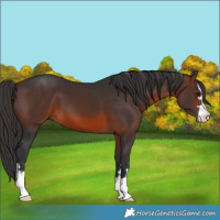 Horse Color:Brown 