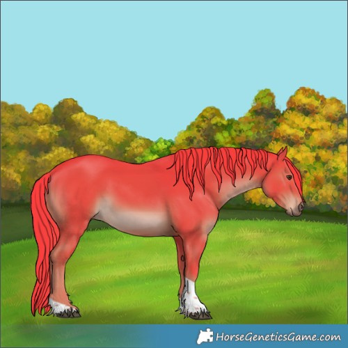 Horse Color:Watercolor Liver Chestnut Tobiano 
