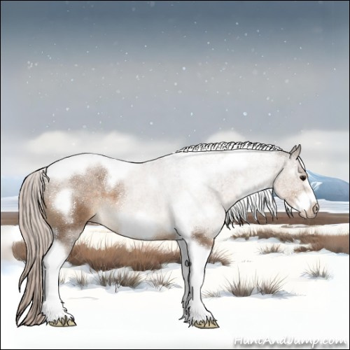 Horse Color:White Spotted Silver Brown Dun Tobiano Frame 