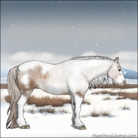Horse Color:White Spotted Silver Brown Dun Tobiano Frame 