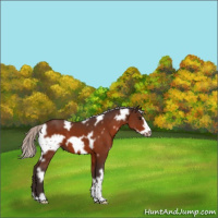 Horse Color:White Spotted Silver Bay Frame 