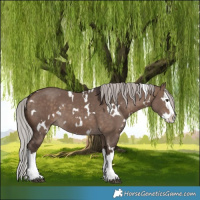 Horse Color:White Spotted Silver Brown Dun Mushroom Splash 