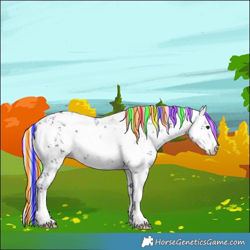 Horse Color:Painted Watercolor White Spotted Silver Bay Ice Dun Sabino Rabicano 