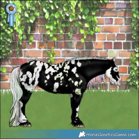 Horse Color:Nacre Watercolor White Spotted Silver Blue Chinchilla Roan Blanket 