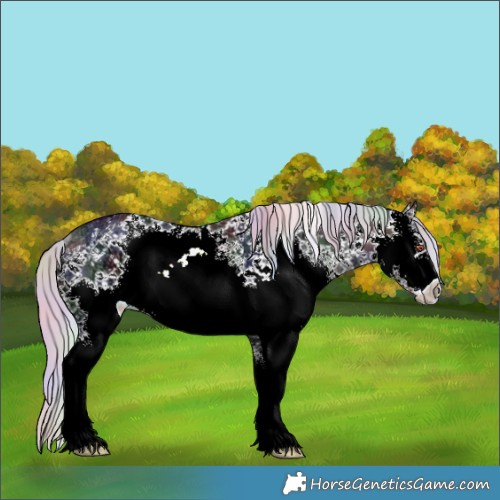 Horse Color:Nacre White Spotted Silver Black Chinchilla Ice Rabicano 