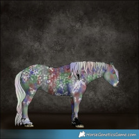 Horse Color:Nacre White Spotted Silver Black Chinchilla 