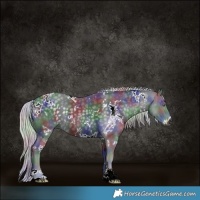 Horse Color:Nacre White Spotted Silver Black Chinchilla 