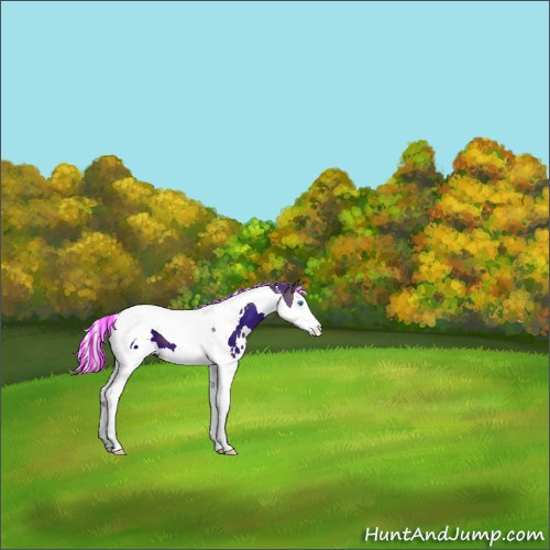 Horse Color:Painted White Spotted Silver Black Splash Tobiano 