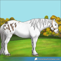 Horse Color:Brown Dun Tobiano Blanket