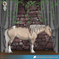 Horse Color:Silver Brown Dun Tobiano Appaloosa