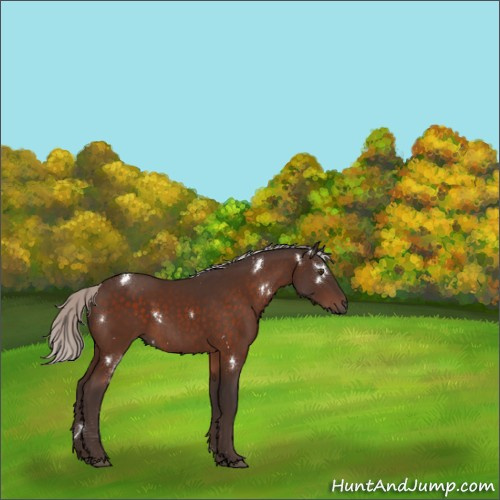 Horse Color:White Spotted Silver Brown 