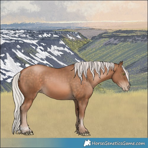 Horse Color:Silver Brown Pearl Tobiano 