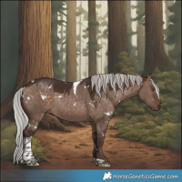 Horse Color:White Spotted Silver Brown Dun Tobiano 