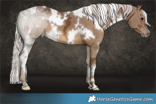Horse Color:White Spotted Silver Black Ice 