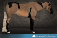 Horse Color:Void Chocolate Palomino Sabino Tobiano Rabicano