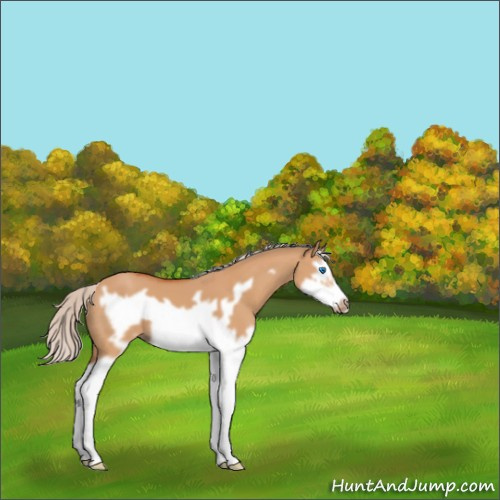 Horse Color:Silver Bay Dun Splash Frame 
