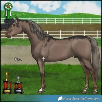 Horse Color:Liver Red Dun Mushroom 