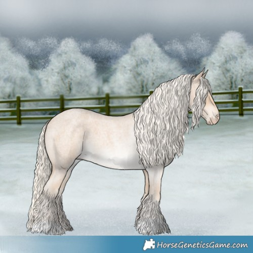 Horse Color:Cremello Roan 