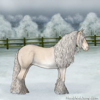 Horse Color:Cremello Roan 