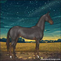 Horse Color:Liver Red Roan Rabicano