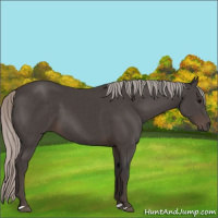 Horse Color:Silver Black 