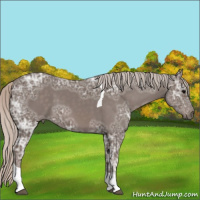 Horse Color:Silver Black Ice Tobiano