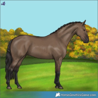Horse Color:Liver Red Dun Rabicano 