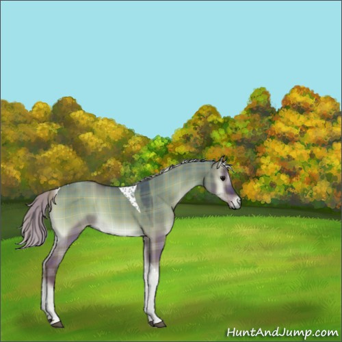 Horse Color:Plaid  Silver Grullo Onyx Tobiano 