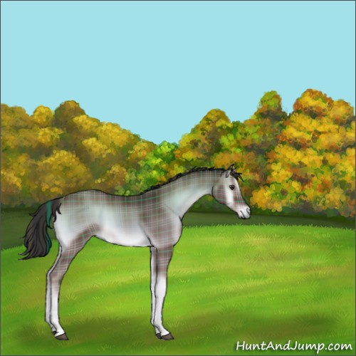Horse Color:Plaid  Liver Red Onyx Tobiano 