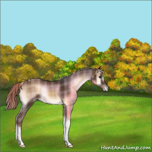 Horse Color:Plaid  Liver Red Onyx Tobiano 