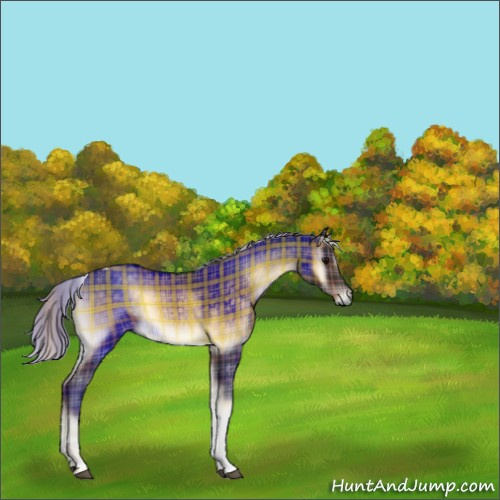 Horse Color:Plaid  Silver Brown Onyx Tobiano 