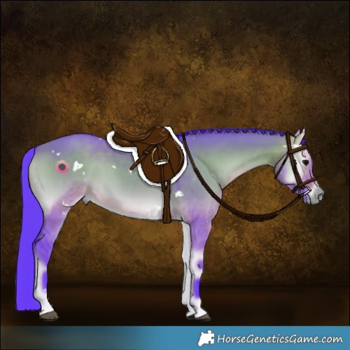 Horse Color:Watercolor White Spotted Brown Onyx Rabicano 