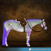 Horse Color:Watercolor White Spotted Brown Onyx Rabicano 