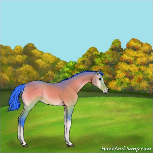 Horse Color:Watercolor Brown Onyx Sabino Rabicano 