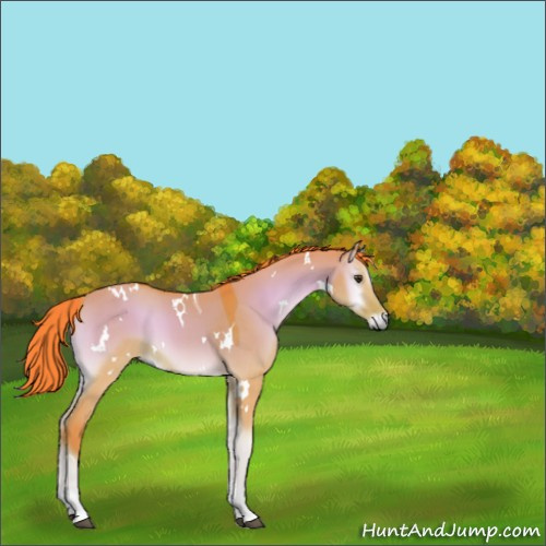 Horse Color:Watercolor White Spotted Liver Red Dun Onyx Tobiano 