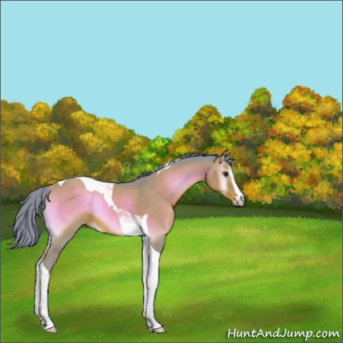 Horse Color:Watercolor Liver Red Onyx Sabino Tobiano Rabicano 