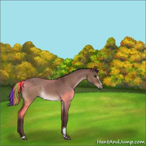Horse Color:Painted Chocolate Brown Dun Sabino 