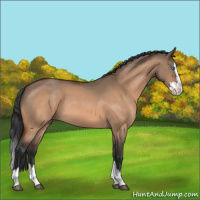 Horse Color:Brown Roan Dun Splash 