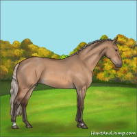 Horse Color:Silver Brown Roan Dun 
