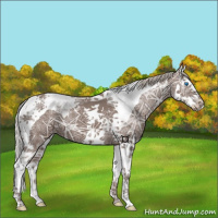 Horse Color:Silver Black Ice Splash Tobiano 