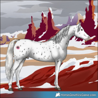 Horse Color:Liver Chestnut Mushroom Near Leopard 