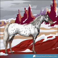 Horse Color:Liver Chestnut Mushroom Near Leopard 