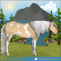 Horse Color:White Spotted Silver Sable Cream Champagne Dun Tobiano 